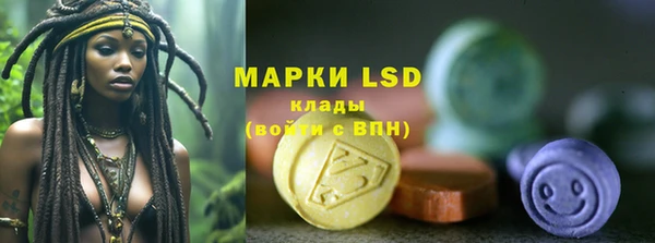 ГАЛЛЮЦИНОГЕННЫЕ ГРИБЫ Артём