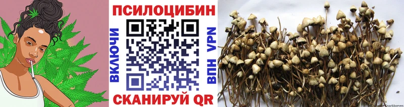 Галлюциногенные грибы мухоморы  блэк спрут ONION  Подпорожье 
